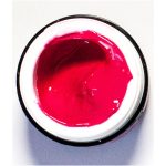 Paint Gel 5ml Fuchsia