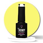 No097 LEMON PIE - 6ml